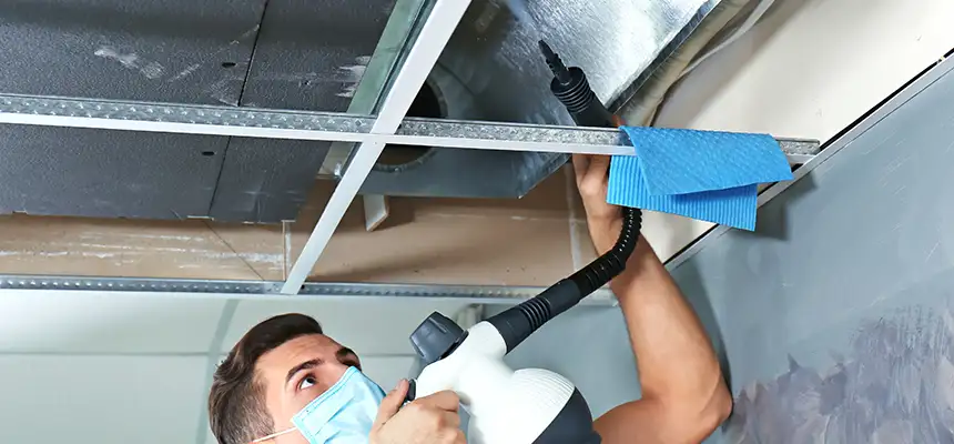 Our Air Duct Rodent Removal Services in Rolling Meadows, IL