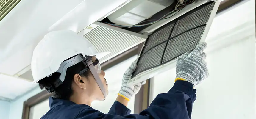 Our Lint Trap Cleaning Service Services in Rolling Meadows, IL