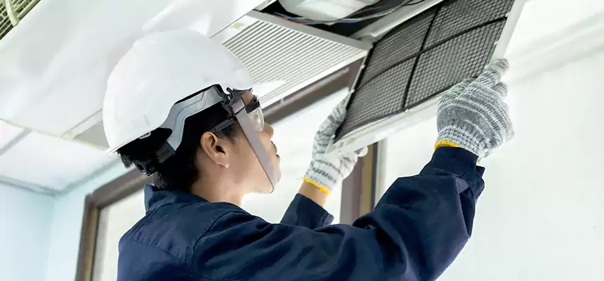 Our Mold & Mildew Removal from Air Ducts Services in Rolling Meadows, IL