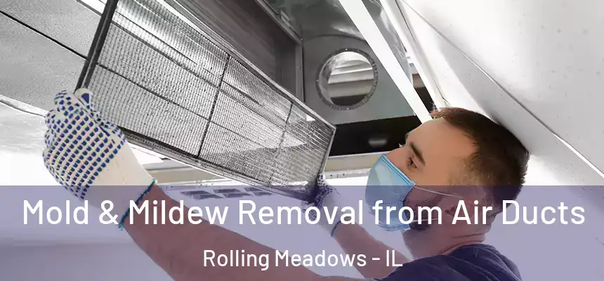 Mold & Mildew Removal from Air Ducts Rolling Meadows - IL