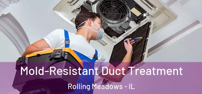  Mold-Resistant Duct Treatment Rolling Meadows - IL