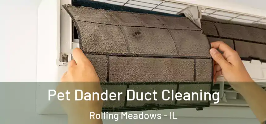 Pet Dander Duct Cleaning Rolling Meadows - IL