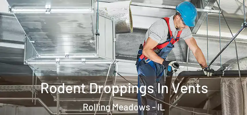 Rodent Droppings In Vents Rolling Meadows - IL