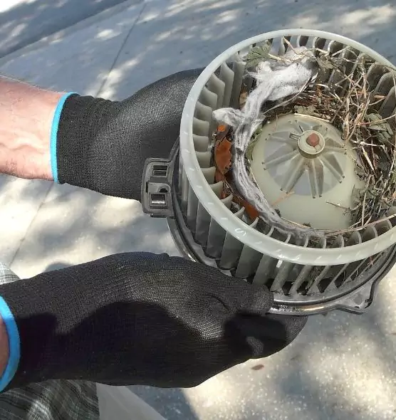 About Air Duct Rat Removal in Rolling Meadows, IL