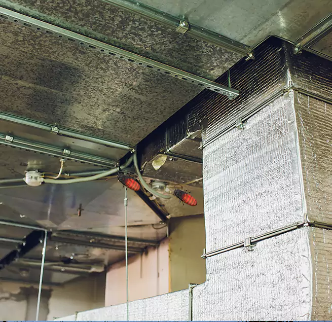 Why Homeowners & Businesses Trust Us in Rolling Meadows, IL?