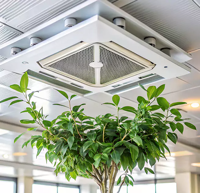 Why Homeowners & Businesses Trust Us in Rolling Meadows, IL?