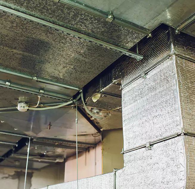 Why Homeowners & Businesses Trust Us in Rolling Meadows, IL?